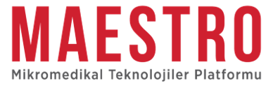 maestro_logo